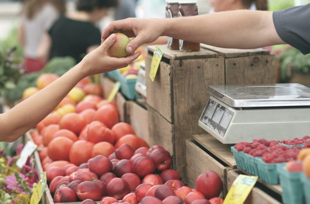 Povezujemo tržnico in izobraževanje – projekt v sklopu razpisa Las Istre